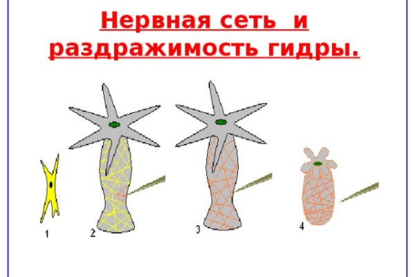 Даркнет ссылка