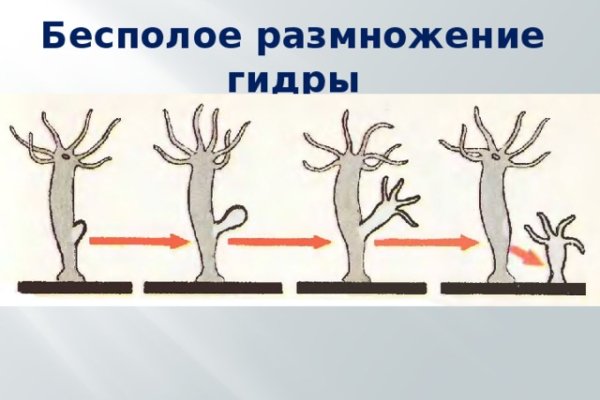 Кракен дарк оригинал ссылка