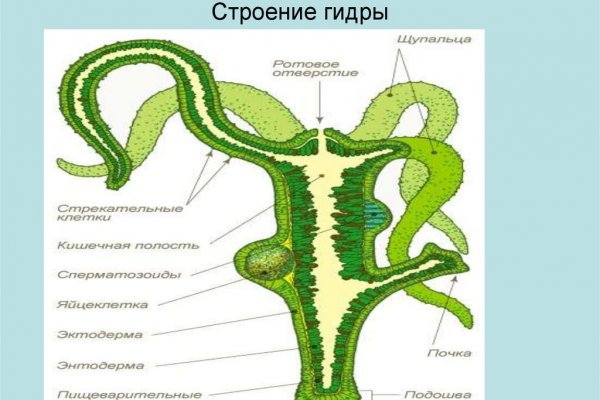 Перевод btc на блэкспрут по времени