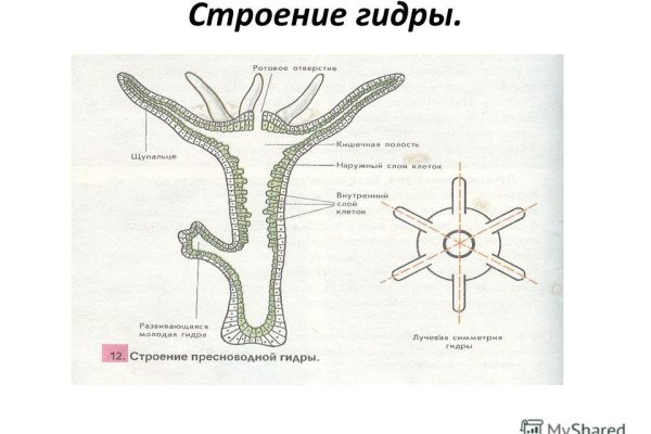 Кракен дарк площадка