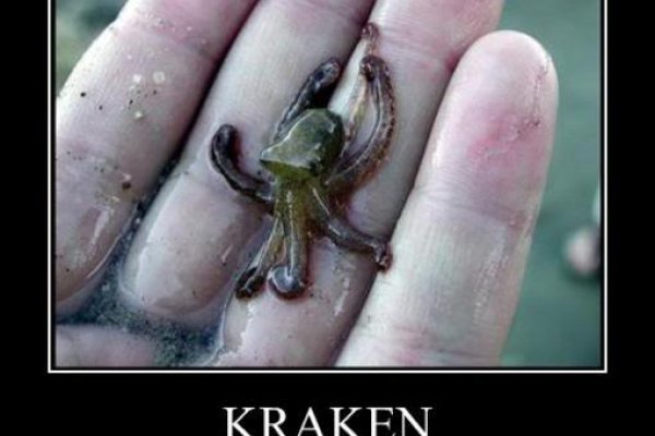 Как найти kraken