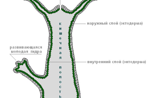 Кракен сайт официальный сайт зарегистрировать kraken6.at kraken7.at kraken8.at