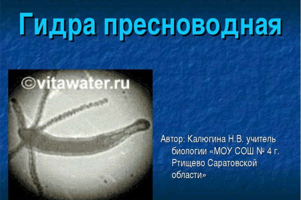 Где взять ссылку на кракен
