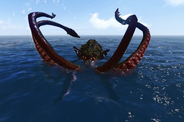 Kraken 19 at