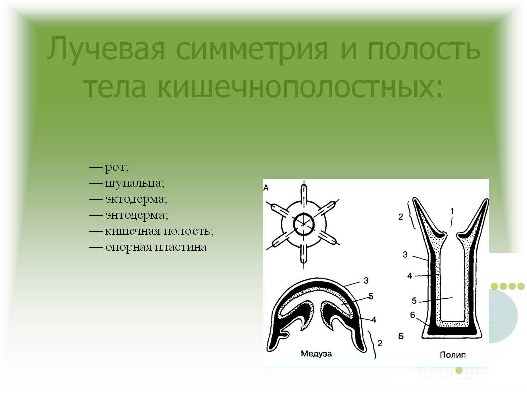 Кракен ссылка призыва нет