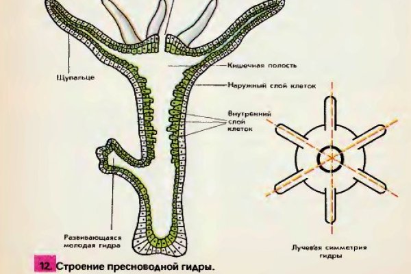 Как отправить фото на меге